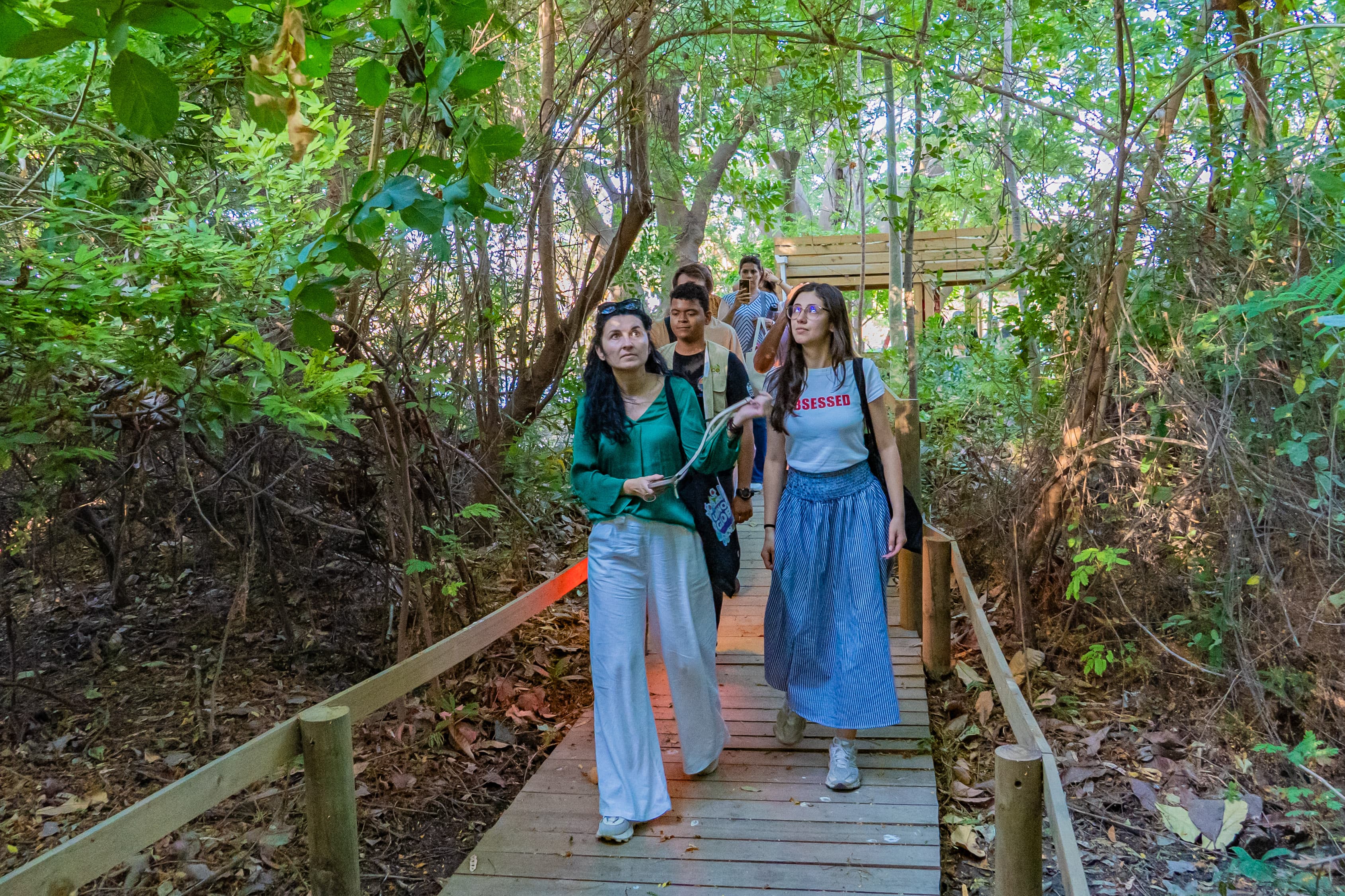 Un grupo recorre el sendero elevado del bosque seco durante una visita guiada